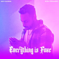 Everything is Fake