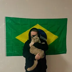 Gato Brasileiro