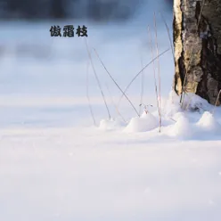 雪乱舞