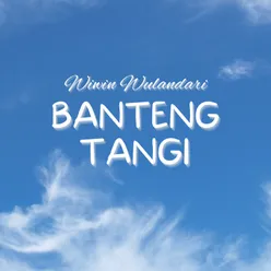 Banteng Tangi