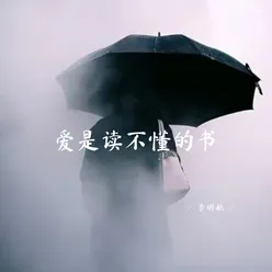 爱是读不懂的书