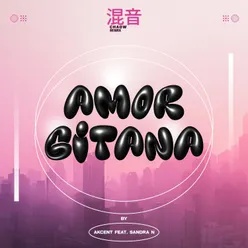 Amor Gitana MP3 Song Download Amor Gitana WynkMusic