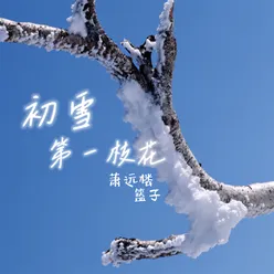 初雪第一枝花