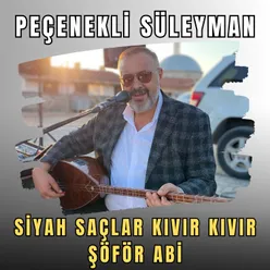 Siyah Saçlar Kıvır Kıvır / Şöför Abi