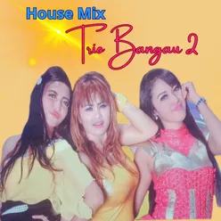 House Musik Trio Bangau 2