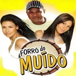 Forró Do Muído, Vol.3