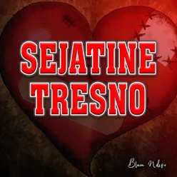 Sejatine Tresno