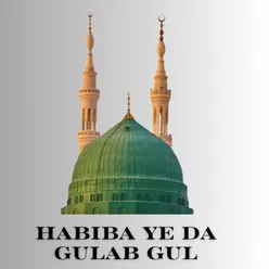 Habiba Ye Da Gulab Gul