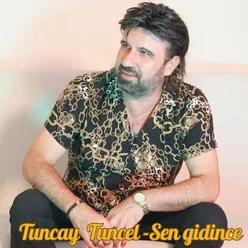 Sen Gidince