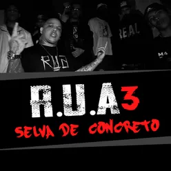 R.U.A 3