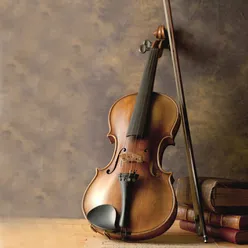 小提琴流行歌曲纯音乐 怀旧金曲经典老歌 小提琴背景音乐 咖啡厅音乐 适合咖啡店柔和的音乐 小提琴经典流行轻音乐