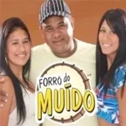 Forró Do Muído, Vol.2