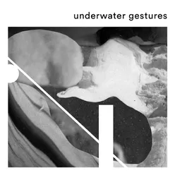 Underwater Gestures