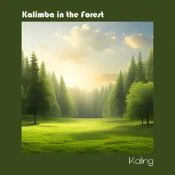 Kalimba In The Forest