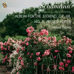 Album für die Jugend, Op. 68: No. 8, Wilder Reiter
