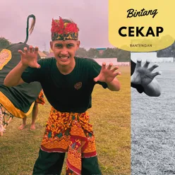 Cekap