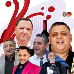 Mixaj - Muzica de petrecere 2024 MEGA COLAJ