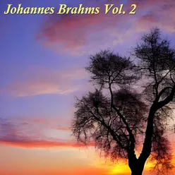 Johannes Brahms, Vol. 2