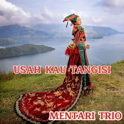 Usah Kau Tangisi