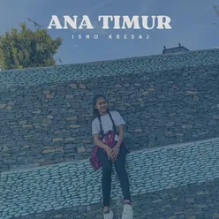 ANA TIMUR