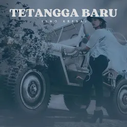 TETANGGA BARU