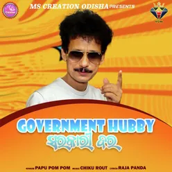 Government Hubby