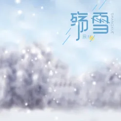 殇雪-暴林