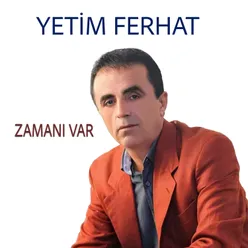 Tokat'ın Evleri