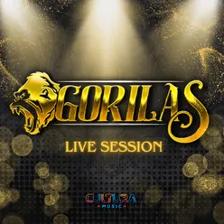 GORILAS LIVE SESSION 2024