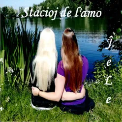 Stacio de l'amo