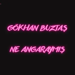 Ne Angaraymış