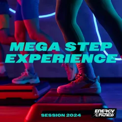 Mega Step Experience 2024 Session