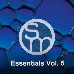Syncmusic - Essentials, Vol. 5