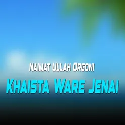 Wale De Waroke Yar Khafa Ko