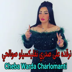 نرقده على صدري نفليكسيلو صوالحي