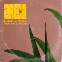 Areca