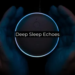 Deep Sleep Echoes