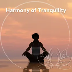 Meditation in Tranquility