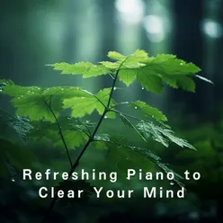 Refreshing Piano to Clear Your Mind