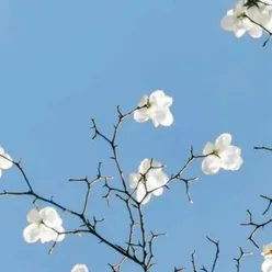 海市蜃楼