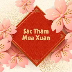 Sắc Thắm Mùa Xuân