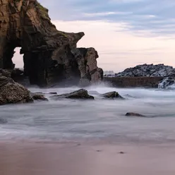 绚烂的花海（宝宝听了聪明的钢琴曲）