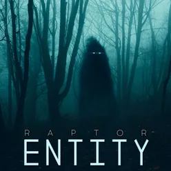 Entity