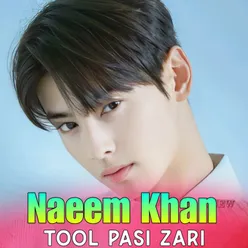 Tool Pasi Zari