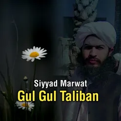Gul Gul Taliban