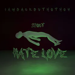 Hate love