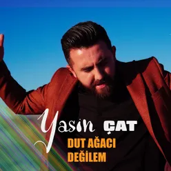 Dut Ağacı Değilem