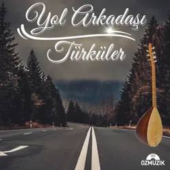 Yol Arkadaşı Türküler