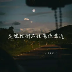 灵魂控制不住像你靠近