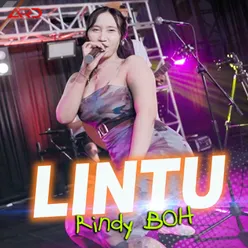 Lintu